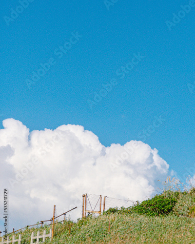 夏の雲