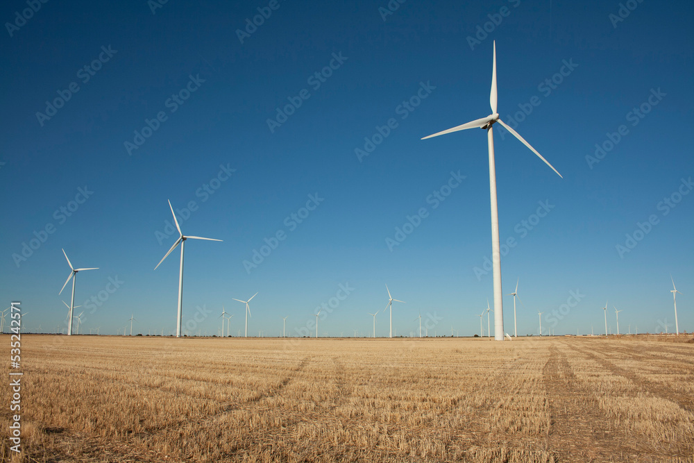 windmills producing electricity in the fields of Castilla windmills producing electricity in the fields of Castilla