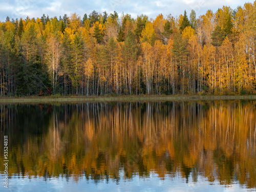 Fototapeta Naklejka Na Ścianę i Meble -  Golden autumn in Karelia, northwest Russia. Trees with yellow leaves, calm on the lake. Clouds in the sky.