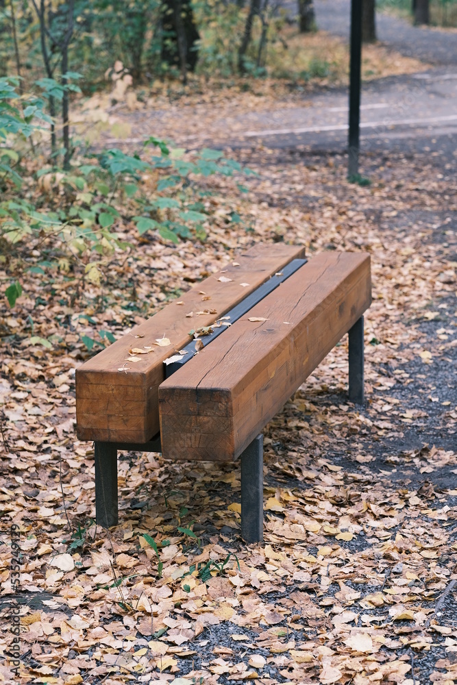a bench in the autumn park, a walk in the forest a bench in the autumn park, a walk in the forest