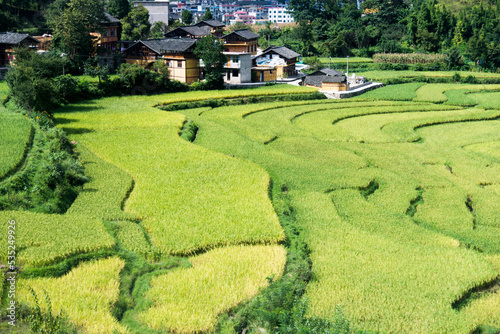 Rice terrace and village landscape in China
