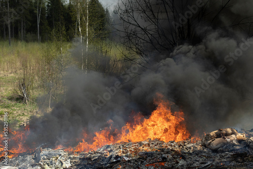 Fire in nature. Illegal landfill is on fire. Black smoke and fire. Waste incineration. Fire in forest.