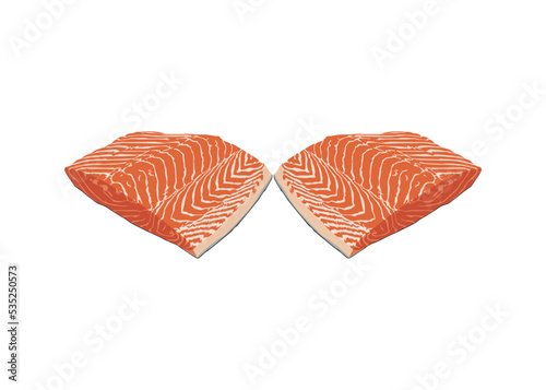 Image of the Fillet Salmon Fish Meat. Vector Illustration