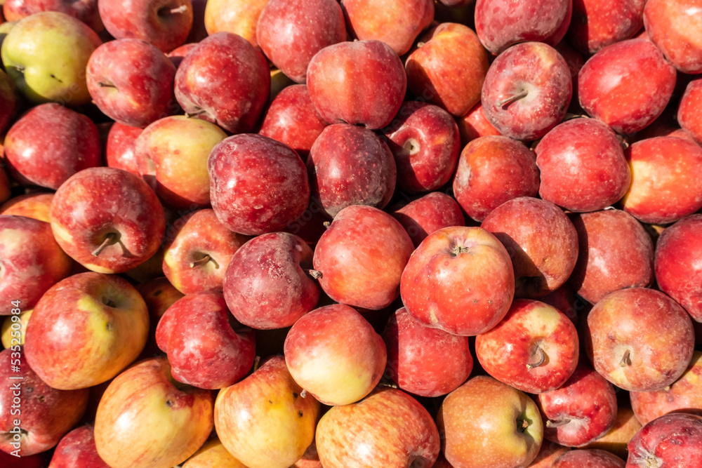 Ripe organic red apples on the farmers market. Close-up apple background. Healthy vegan food. Ripe organic red apples on the farmers market. Close-up apple background. Healthy vegan food.