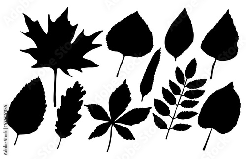 Set of isolated black autumn leaves on white