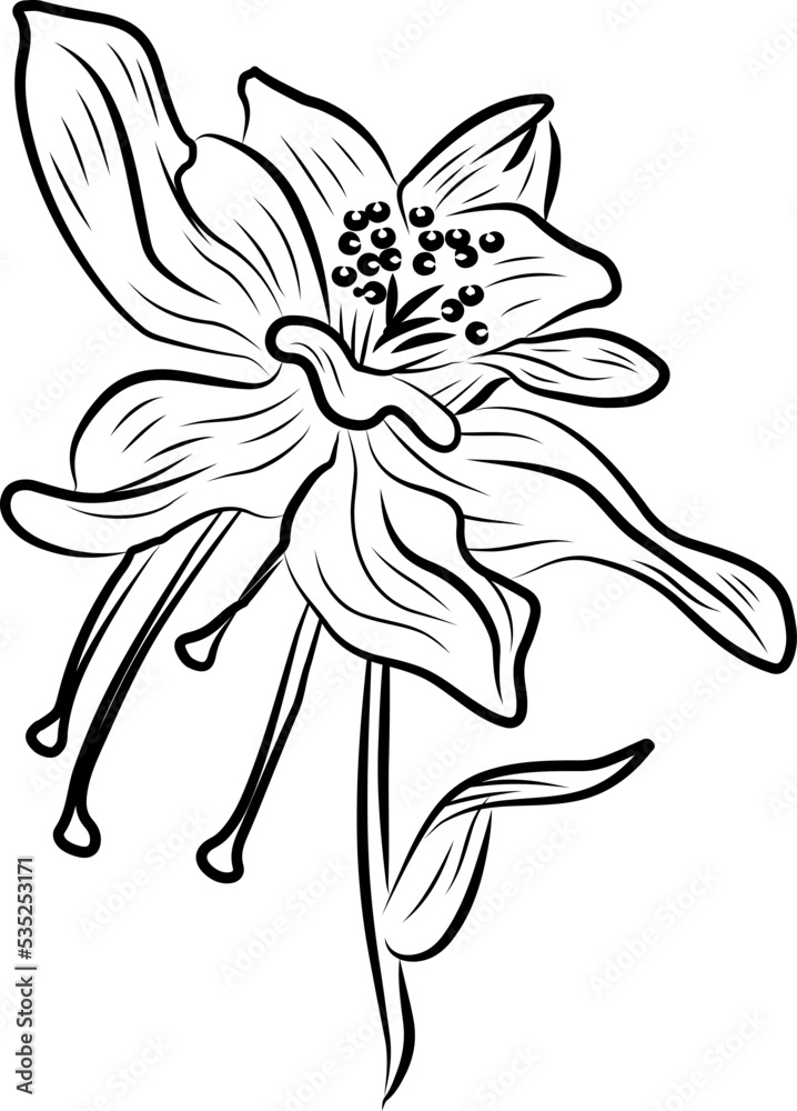 Hand drawn Floral, plants doodles illustration Hand drawn Floral, plants doodles illustration