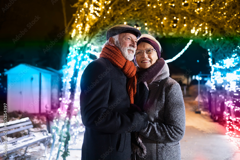 Elderly couple smiling in loving embrace in winter wonderland with Christmas lights
