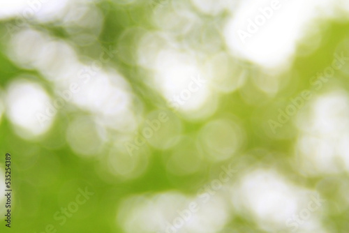 blurry image of trees in the summer Park .