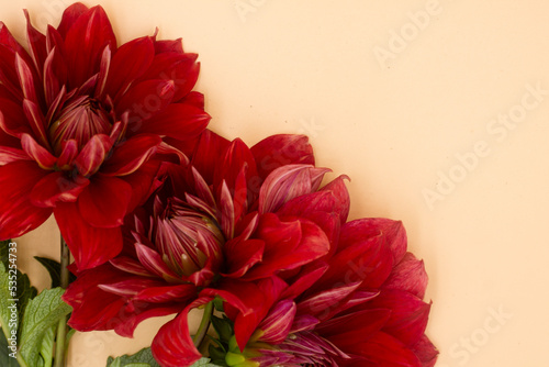 red flowers