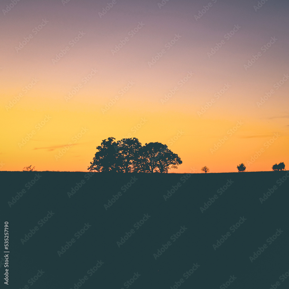 sunset in the countryside