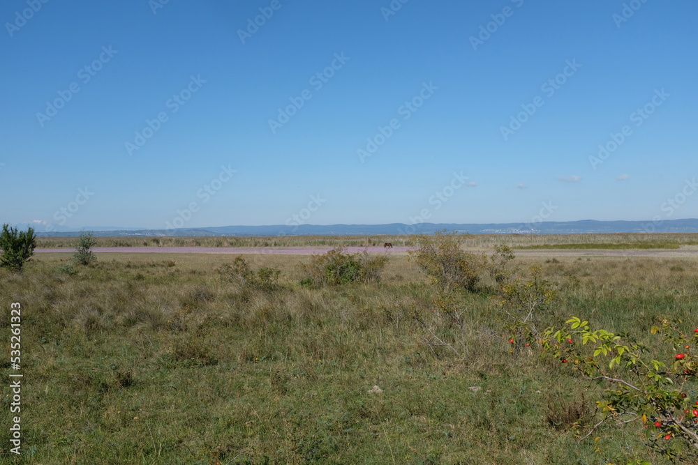 Neusiedlersee 2022 Neusiedlersee 2022