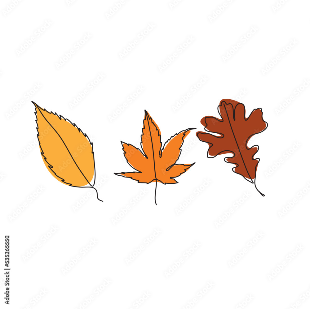 Set of forest leaves from a tree. Plants for the design of postcards. Color illustration on a white background. Autumn leaf.