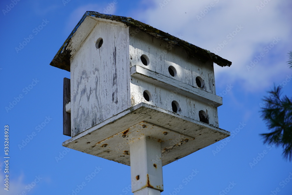 bird house in the sky