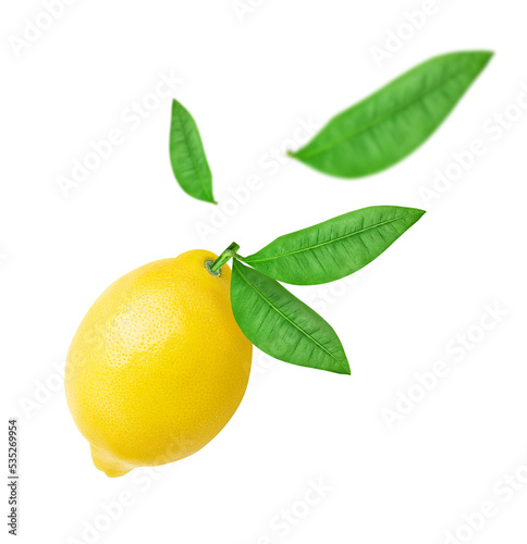 Lemon isolated. One whole lemon fruit with green leaf