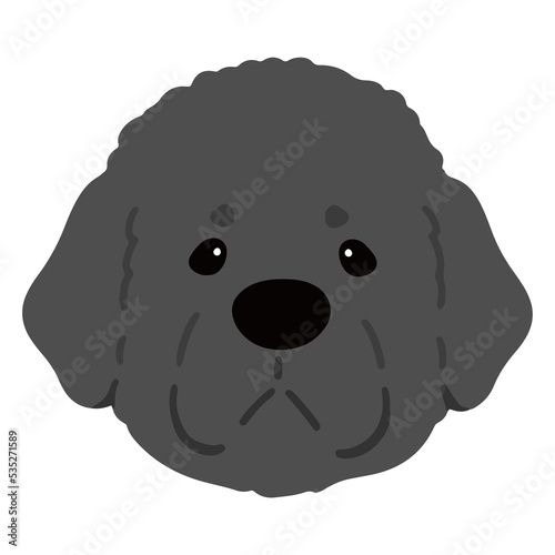 Simple and adorable Newfoundland dog illustration front face flat colored