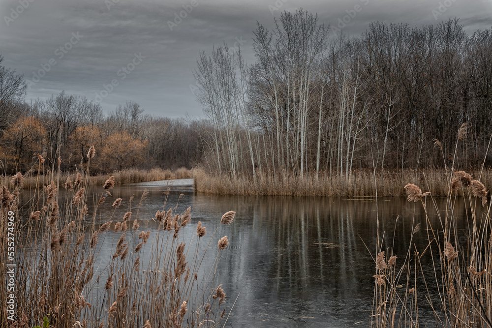 Fototapeta premium lake in the fall