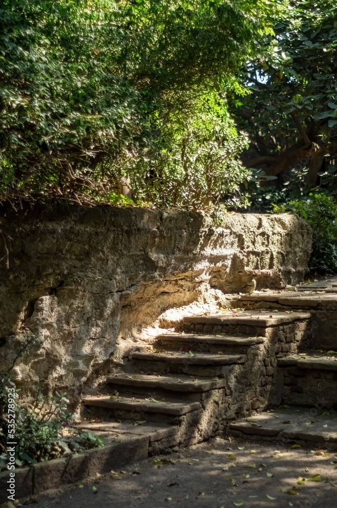 old abandoned building, nature grows back brick
