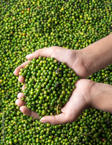 handful of green raw black peppercorns, pile of spicy and seasoning ingredient in the background, soft-focus