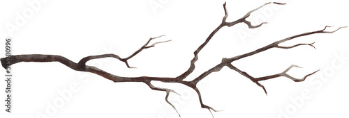 Watercolor bare brown branch. Cut out hand drawn PNG illustration on transparent background. Water colour clipart drawing. photo