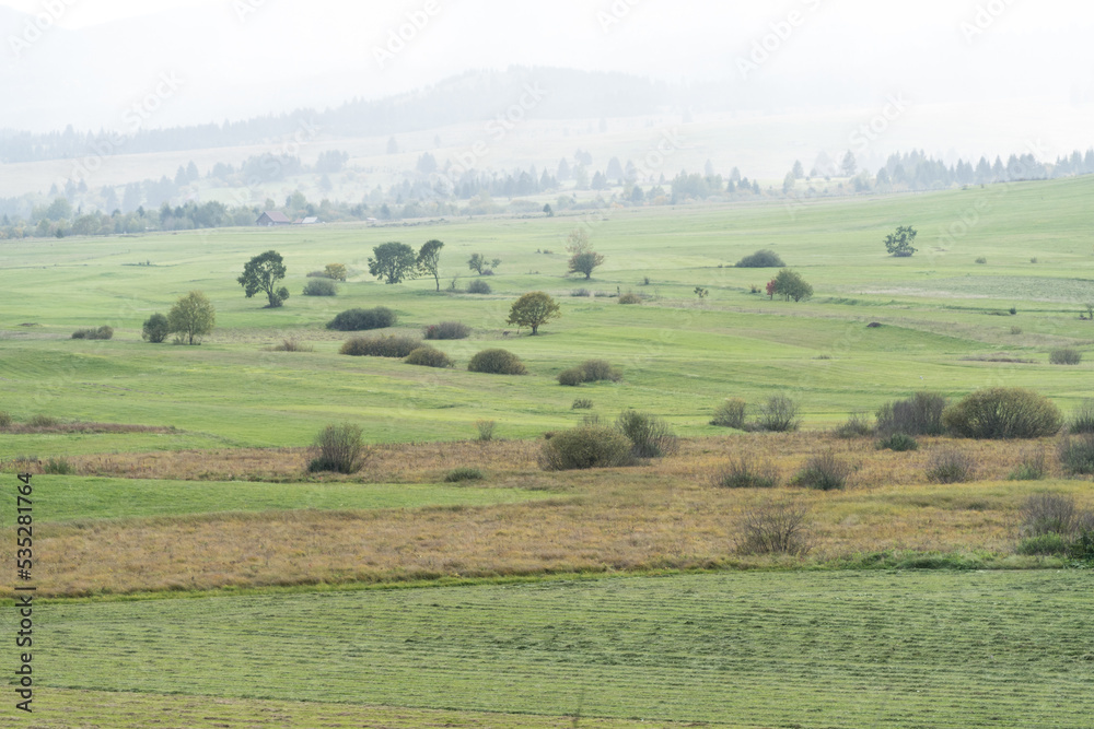 landscape with field,  Racu Village, Harghita Mountains, Romania 
