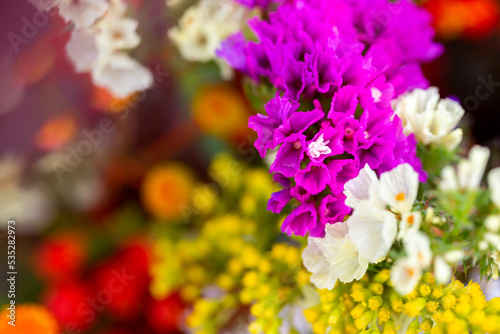 Dried flower arrangement, plenty of flower kinds and colours. Studio photo taken with flash light