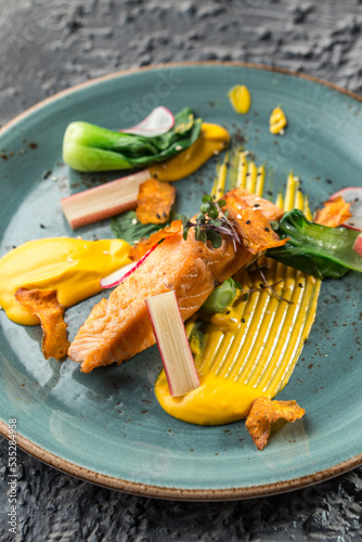 Roasted salmon steak with pumpkin cream and radish on blue plate on the table