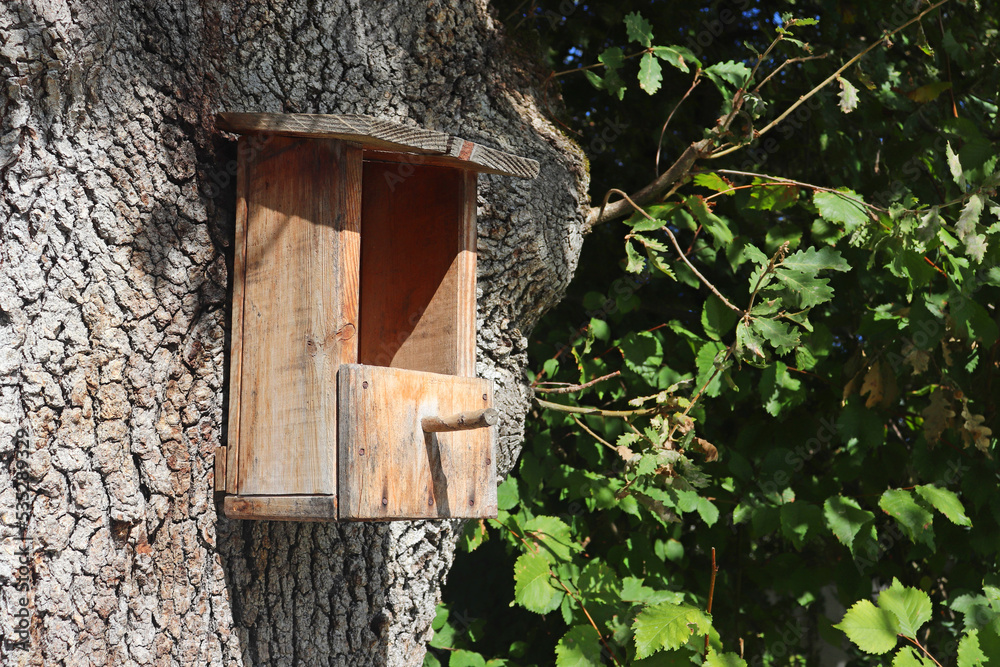 Handmade pine wood bird feeder hanging from a large oak tree. Handmade pine wood bird feeder hanging from a large oak tree.