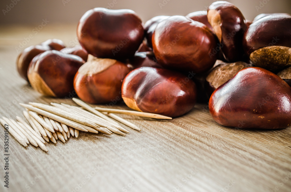 Obraz premium autumn chestnuts ready for metamorphosis