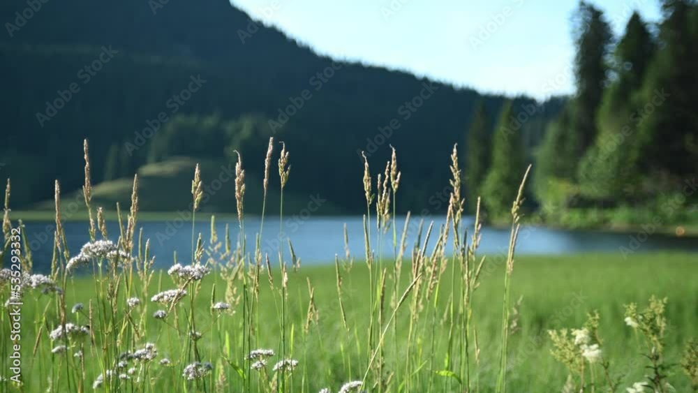 A mountain lake in the evening: Spitzingsee, Bavaria