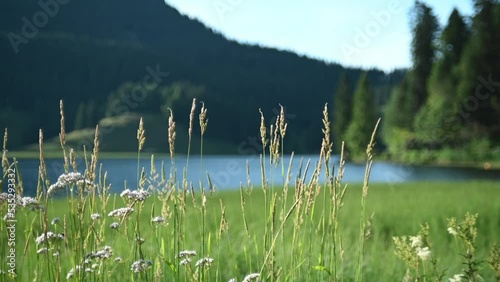 A mountain lake in the evening: Spitzingsee, Bavaria
