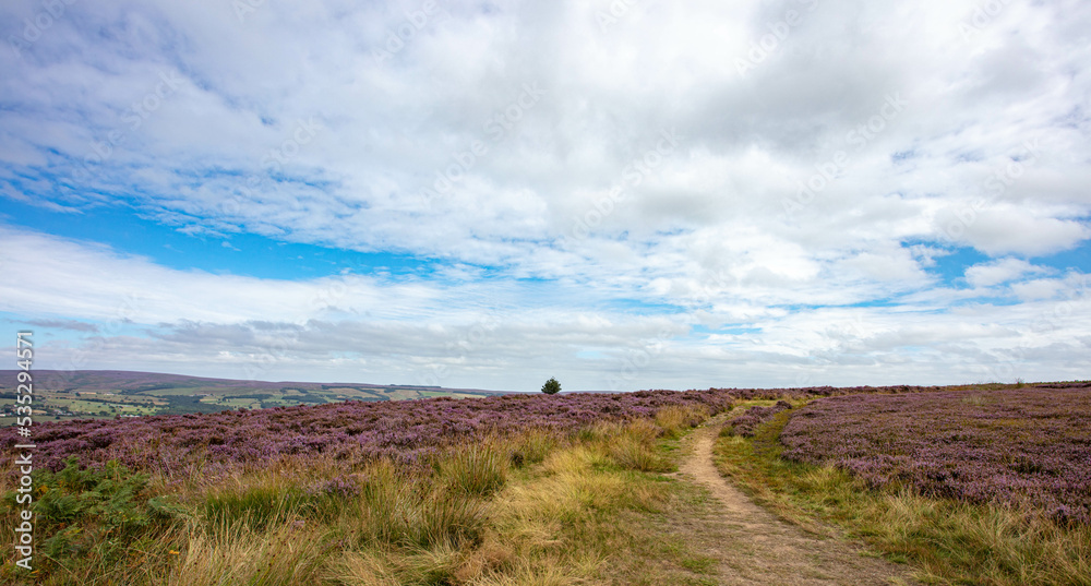 A View Across Ilkley Moor Yorkshire