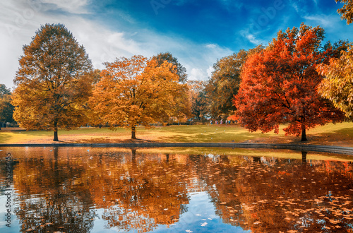 Herbst am Teich