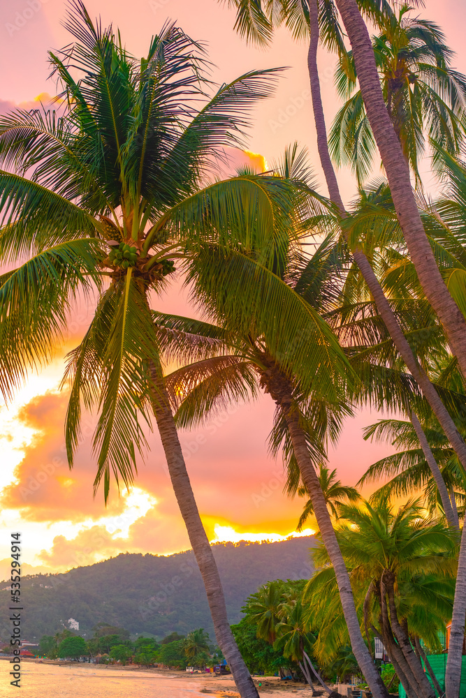 Vertical tropical landscape. Palm trees on the seashore against the backdrop of mountains at sunset. Travel and tourism