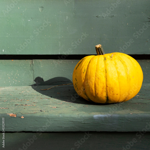 Pumpkin or gourd on a rustic wood background
