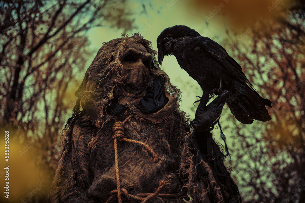 talk with black raven