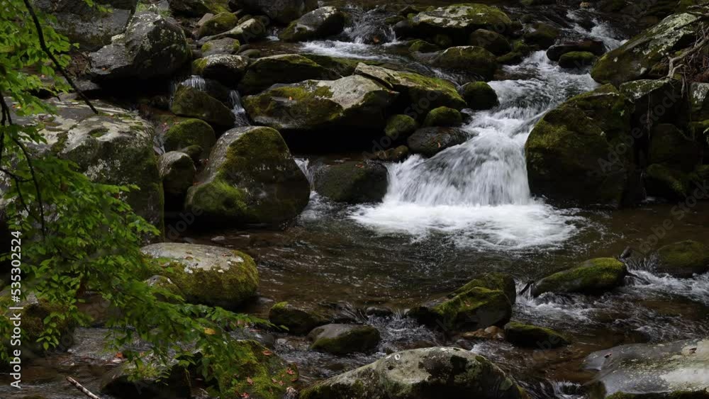 Cascades in the Middle prong of the Little Pigeon River in Great Smoky Mountains, TN, USA (4K/24p, ProRes 422 HQ, 10-bit) Cascades in the Middle prong of the Little Pigeon River in Great Smoky Mountains, TN, USA (4K/24p, ProRes 422 HQ, 10-bit)