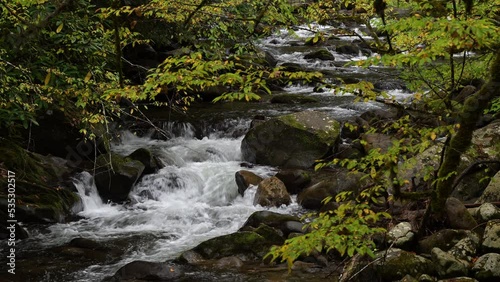 Cascades in the Middle prong of the Little Pigeon River in Great Smoky Mountains, TN, USA (4K/24p, ProRes 422 HQ, 10-bit)