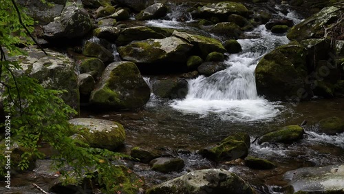 Cascades in the Middle prong of the Little Pigeon River in Great Smoky Mountains, TN, USA (4K/24p, ProRes 422 HQ, 10-bit)
