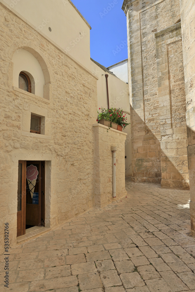 Obraz premium Historic district of Locorotondo. Locorotondo is an Italian municipality of about 14000 inhabitants (as of December 31, 2019) in the metropolitan city of Bari, Apulia region.