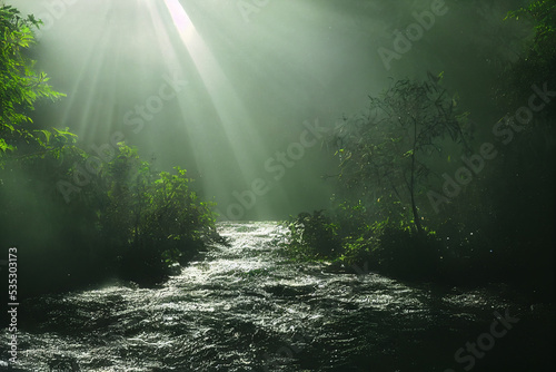 sun rays through the forest