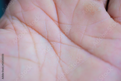 close up of hand with details of human hand lines