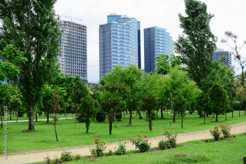 City landscape with modern buildings and exotic trees
