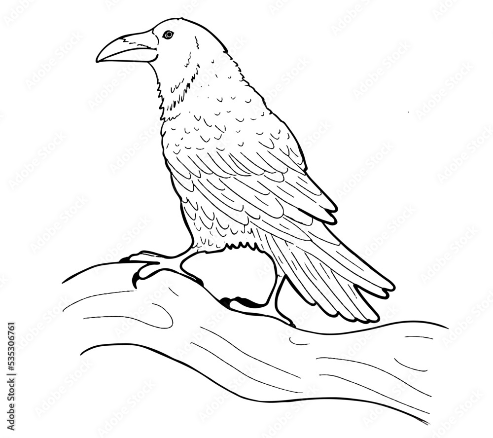 Fototapeta premium Hand drawn crow isolated on white background. Raven on the tree.