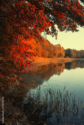 Herbstfarben am See