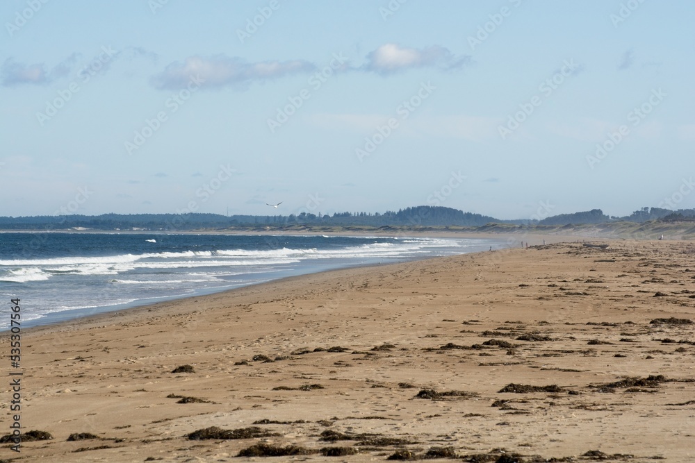 Atlantic Ocean surf on Plum Island sandy beach Atlantic Ocean surf on Plum Island sandy beach
