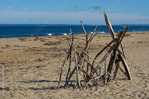 Driftwood art standing on Atlantic ocean sandy beach at Plum Island
