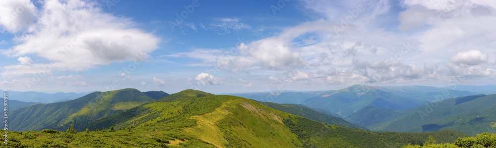panoramic view in to the chornohora ridge valley. stunning landscape of carpathian mountains on a bright forenoon in summer. forested hills and grassy meadows beneath a bright blue sky. travel ukraine