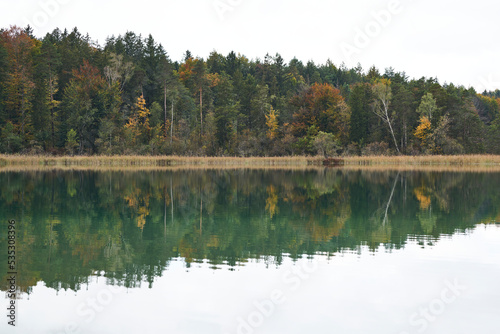 Herbstliche Reflexion