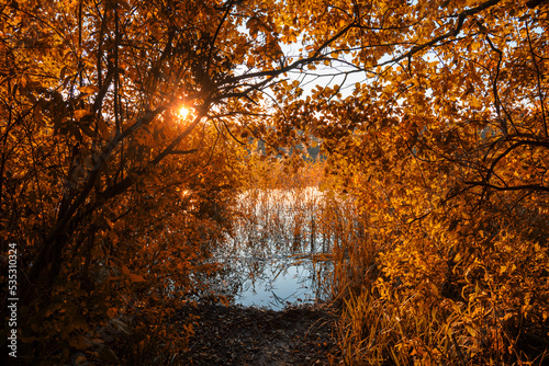 Herbstlicht am See 