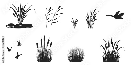 Silhouette of reeds with grass and thickets. Black shadow of marsh vegetation with butterflies and wild duck